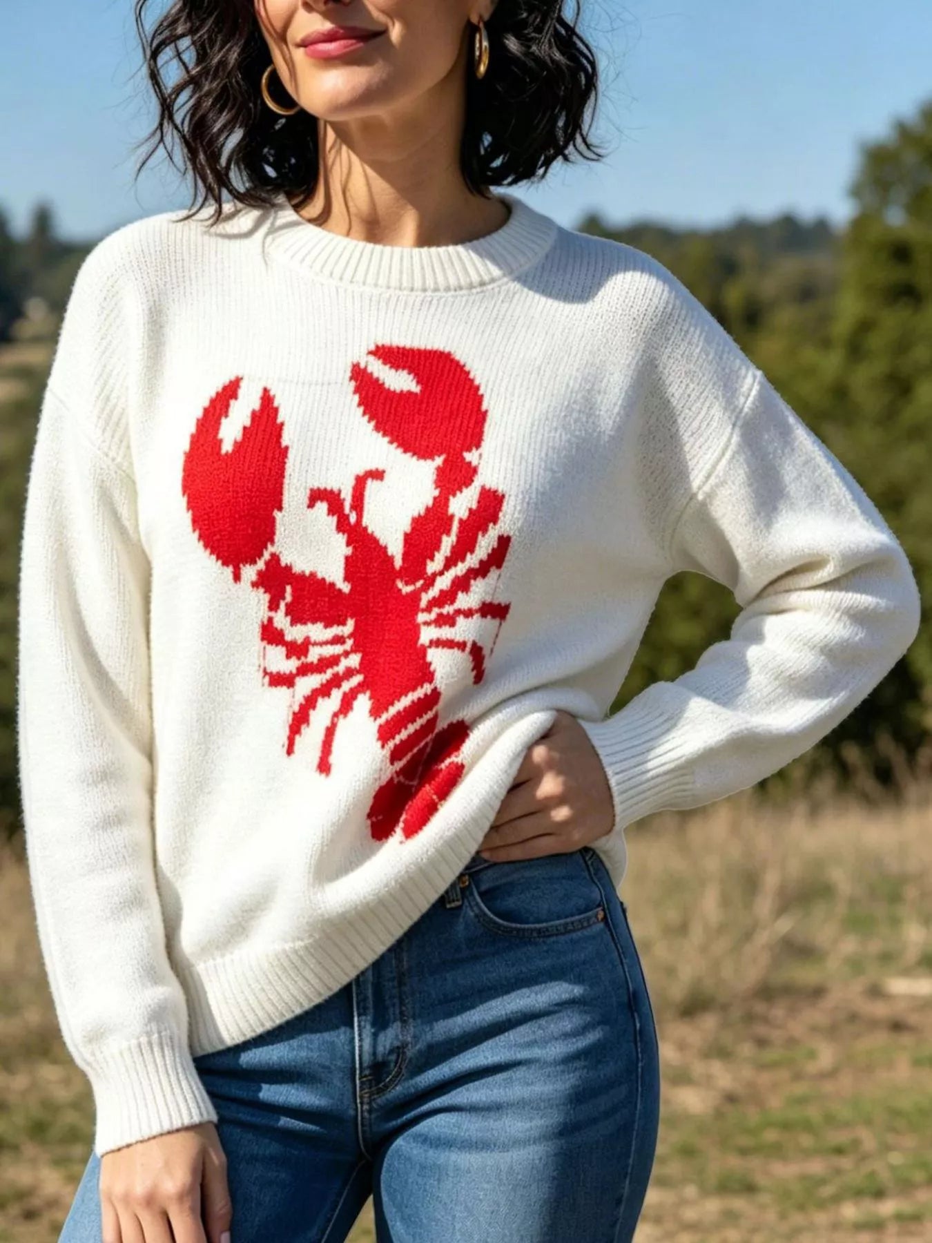 Lobster Graphic Crew Neck Sweater Secondary image