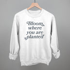 Bloom Where You Are Planted
